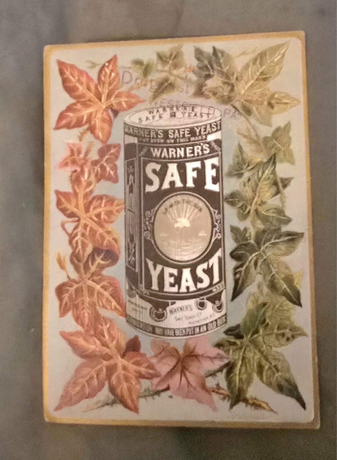 Antique Warner’s Safe Yeast Trade Card 1800s Patent Medicine Advertising