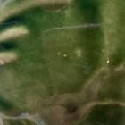 Bild 13 von 19