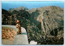 Mallorca - Torrent de Pareis - Dog SPAIN 4x6 Postcard