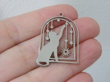 2 Cat stars window pendants silver stainless steel A200