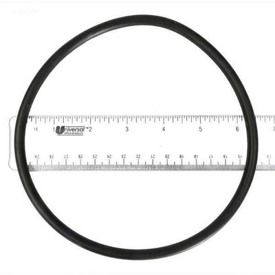 Hayward Strainer Cover O-Ring for EcoStar-EcoStar SVRS SPX3200S