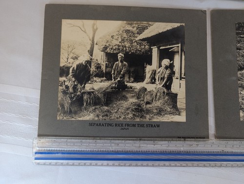 Antique Photos of Early 1900s Japan from a Philadelphia Museum Lot of 3 - Picture 5 of 6