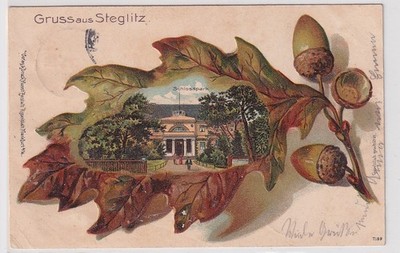 93792 embossed postcard with oak leaves greeting from Steglitz Castle Park 1903