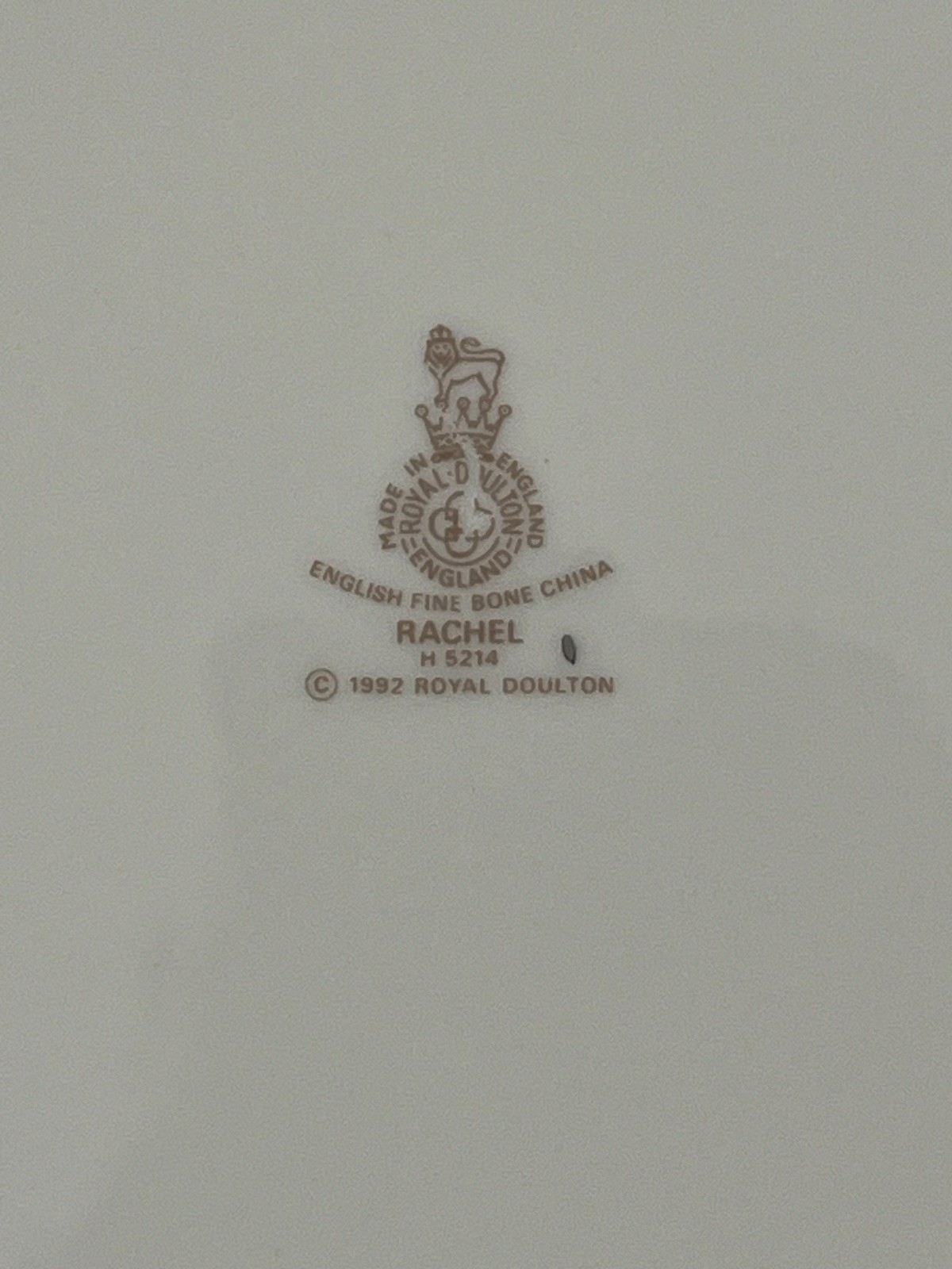 Foto 7 di 7