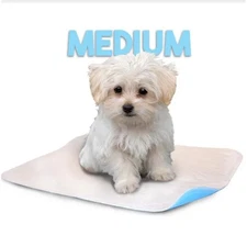 Lennypads 1824LP 18 x 24 in. Medium Washable Pet Pad - White