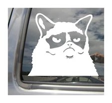 Angry Grumpy Cat - Funny Humor Mad - Car Auto Window Vinyl Decal Sticker 01038