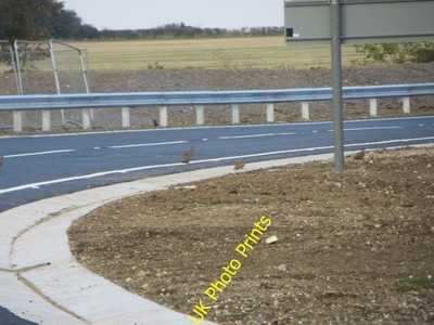 Photo 6x4 Running across the road Chilton/SU4885 You should be able to s c2016