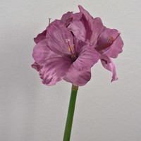 Artplants KüNstliche Amaryllis Maranon, Violett, 70Cm
