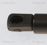 Triscan Gasfeder Kofferraum 601N FüR Hyundai Grand Santa Fé III