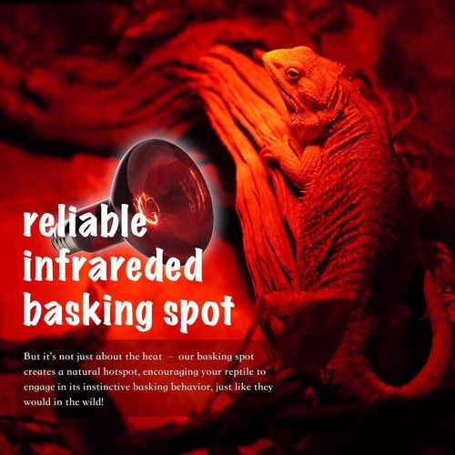 Reptile Heat Lamp 2-Pack 75W Day and Night Basking Bulb Light for Reptiles - 第 6/6 張圖片