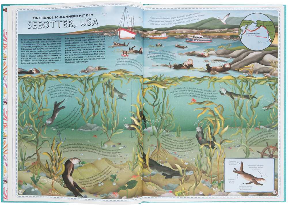 Thumbnail - Der Atlas Der Ozeane, Emily Hawkins