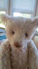 antique steiff teddy bear large & white