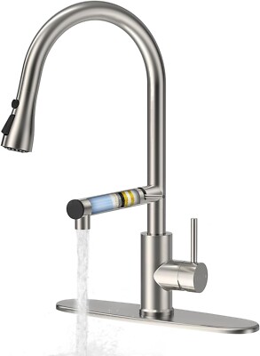 Filter Water Kitchen Faucet with Pull Down Sprayer, Brushed Nickel Stainless