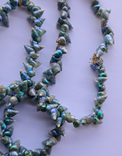 Vintage Aboriginal Maireener Shell Long Necklace 110cm - Picture 7 of 14