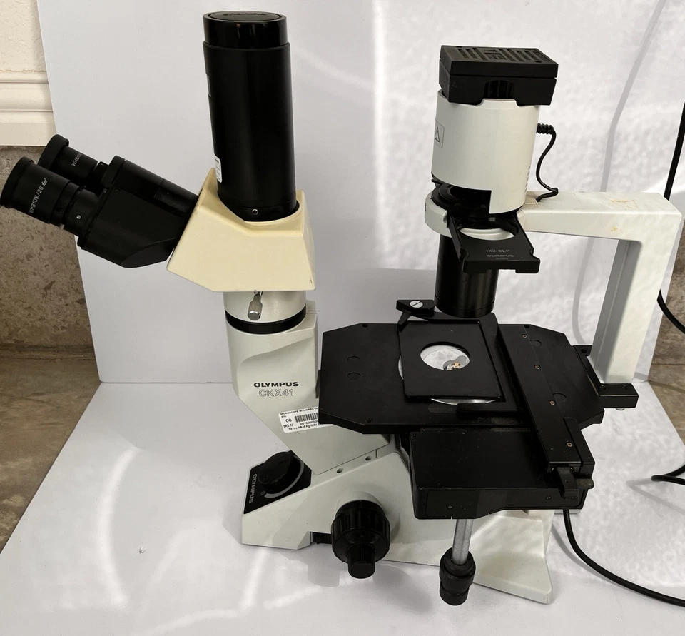 Olympus Ckx41SF Inverted Microscope 10x/40x lenses W/ Motic USB Camera 40x - Image 2 of 4