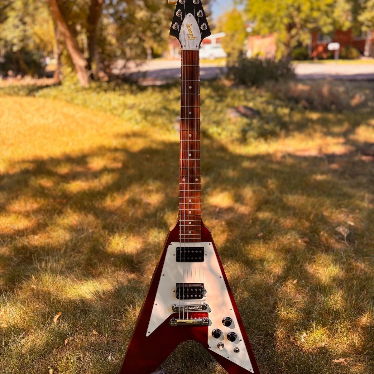 Las mejores ofertas en Guitarras eléctricas Gibson Flying V | eBay
