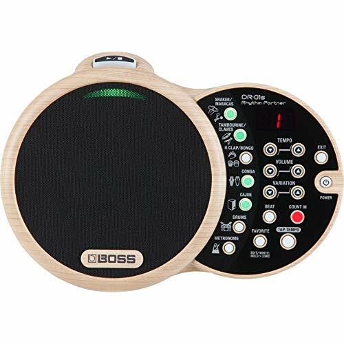 BOSS DR-01S Rhythm Partner - EMS 51790₽