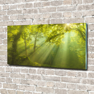 Acrylglas-Bild Wandbilder Druck 140x70 Deko Landschaften Wald Sonne