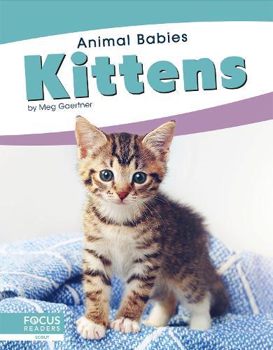 Thumbnail - Meg Gaertner Animal Babies: Kittens (gebundene Ausgabe)