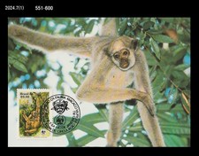 Wildlife,WWF,Nature,Animal,Monkey,Brazil 1984 Maximum Card,Forest