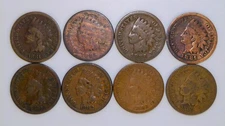1879-1886 Indian Head Cent 8 Coin Lot - Avg Circ AG-VG details CSD1