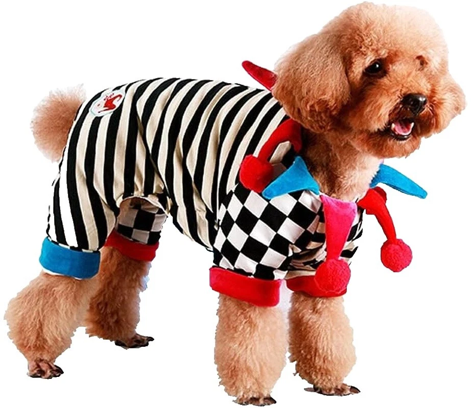 Cotton Clowns & Circus Dog Costumes