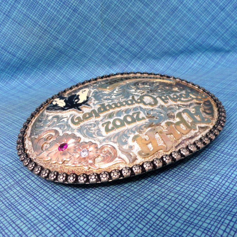 APHA 2002 World Champion Broodmare Belt Buckle SS 10K Overlay Vtg Gist SS.GMP007