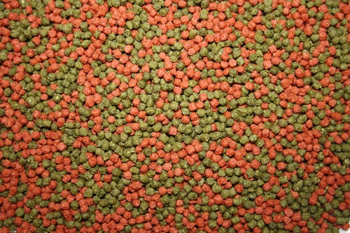 Koifuttermischung KoiMix Premium Teichfuttermix Spirulina Astax Paprika 10kg - Bild 11 von 15
