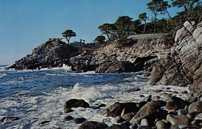 Postcard CA: 17 Mile Drive, Monterey Peninsula, California, Posted 1964
