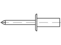 500 X Geschlossene Blindniete Iso 15973, Flachrundkopf Art 88420 Cap - Blindniet