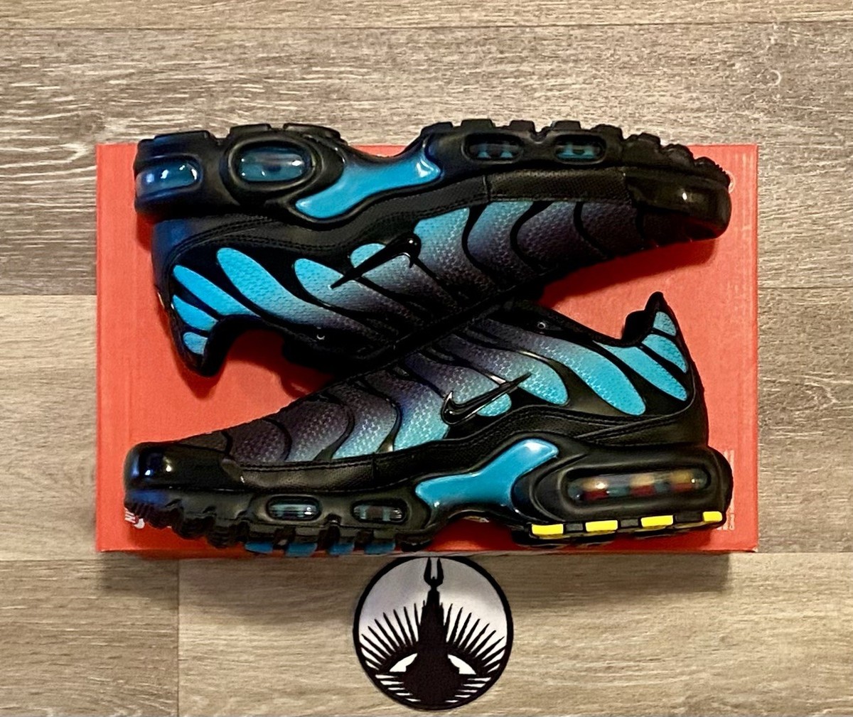 Nike Air Max Plus 'Black Dusty Cactus' DM0032-016 Men's Size