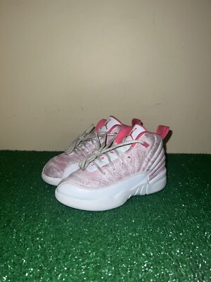 arctic punch jordan 12s