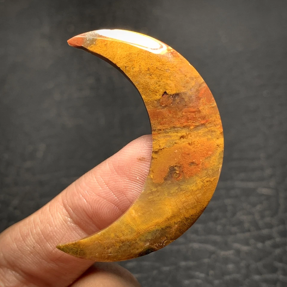 Jasperized Coral Fossil Cabochon 41x13x5mm High Quality 29 ct - Image 3 of 4