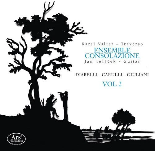 CARULLI / ENSEMBLE CONSOLAZIONE - DIABELLI / CARULLI / GIULIANI NEW CD - Picture 1 of 1