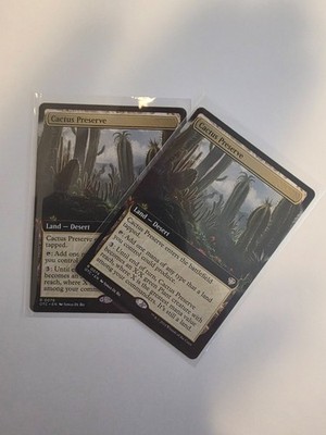 x1 Cactus Preserve Extended Art #76 Thunder Junction OTC Magic MTG