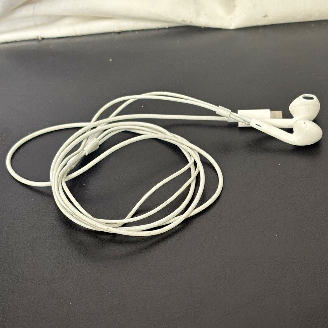 USB-C Wired In-Ear Earbuds Inline Mic & Volume Control White Double Earpiece