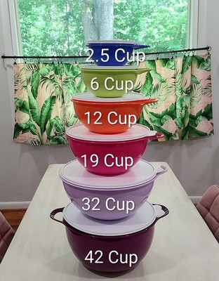 Tupperware Thatsa Bowls 6 PC NEW SUMMER Set w/EXCLUSIVE THUMB LOOPS FOR  CONTROL