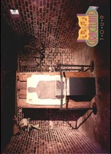 The Elvis Collection (1992 River Group) "Main Set" Cards #221 to #440