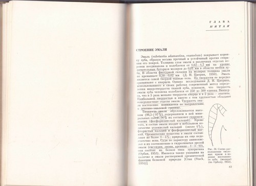 Стоматология Гистология Эмбриология рта и зубов Russian Dentistry Stomatology - Picture 4 of 6