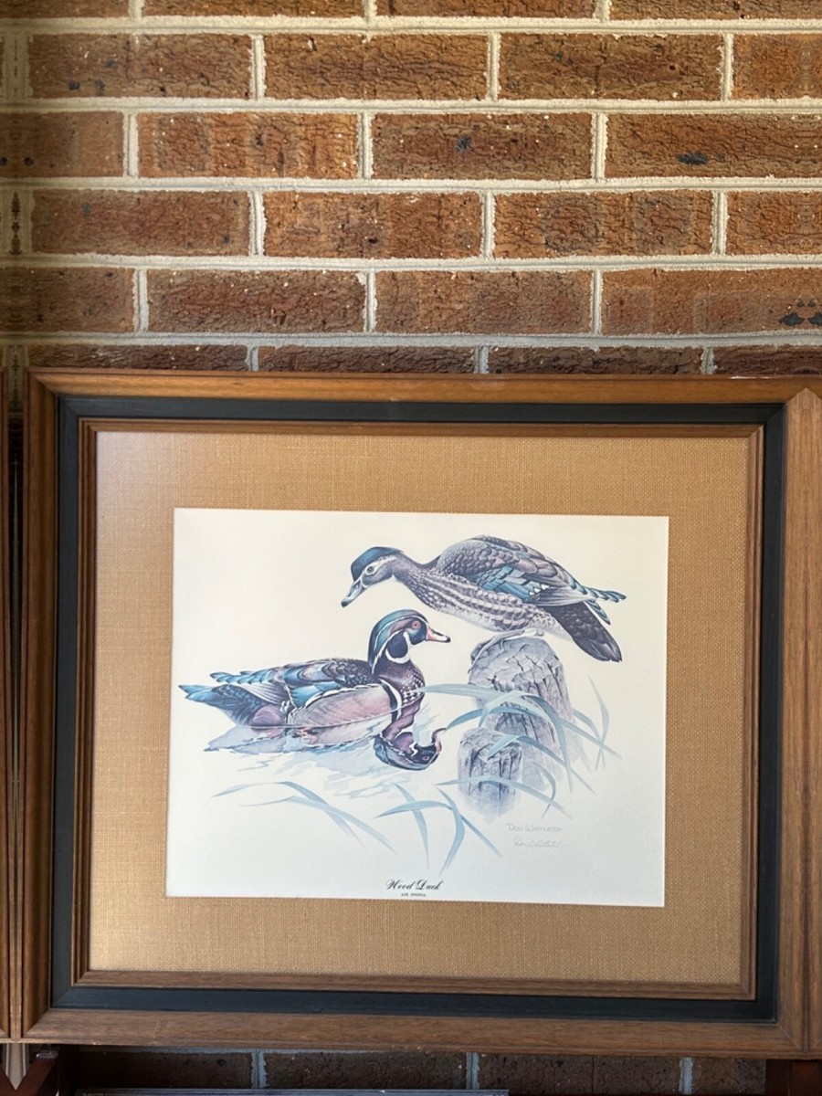 DON WHITLATCH WOOD DUCK AIX SPONSA FRAMED AND MATTED PRINT