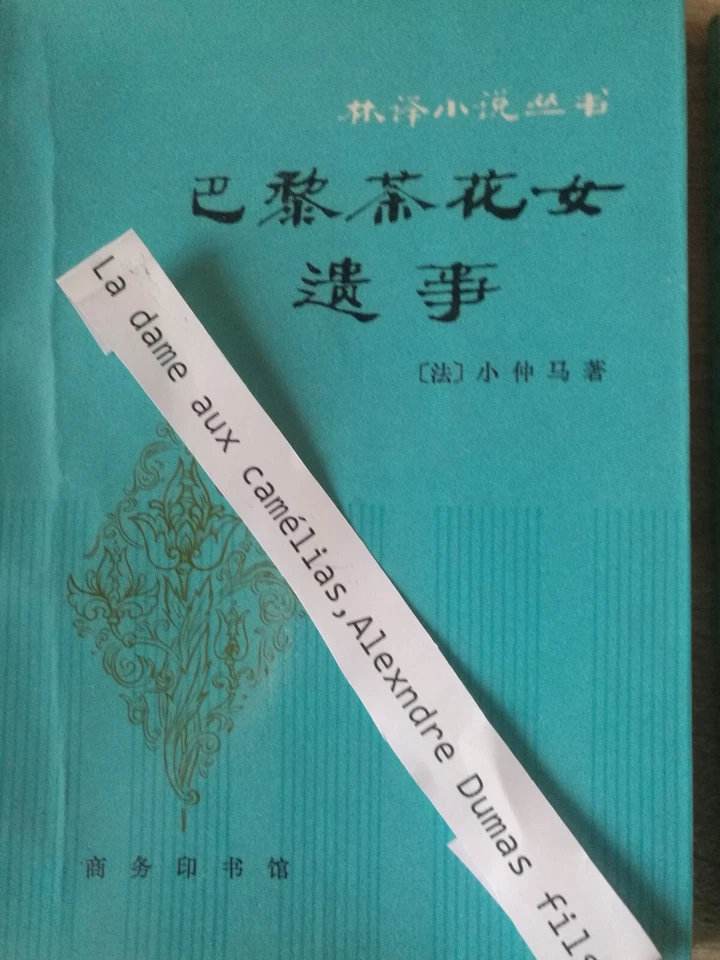 Collection des classiques début XXe traduit en chinois 10 livres - Photo 4/4