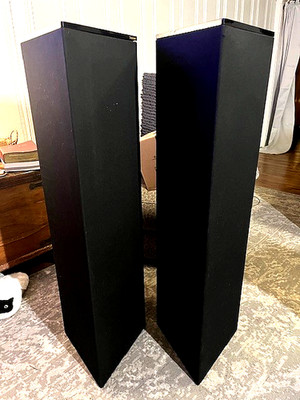 Soundwave Fidelity Vero Research Point Source 4.0 Vintage Speakers ULTRA RARE A1