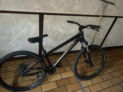 Specialized Dirt Bike