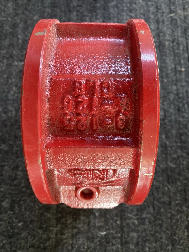 RITEPRO 3” VÁLVULA DE RETENCIÓN OSCILANTE OBLEA ANSI 125, 250 PSI Foto 2 de 4