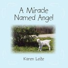 Miracle Named Angel 9781438952468 by Karen Leite Paperback
