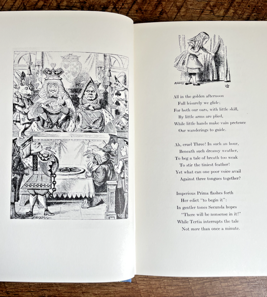 Alice's Adventures in Wonderland/Through Looking Glass (Box Set