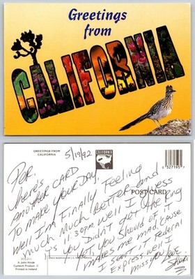 Greetings from California Roadrunner Desert Flora Postcard 1992 John Hinde
