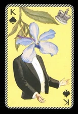 Transformation playing card Christian Lacroix King of Spades Q70c