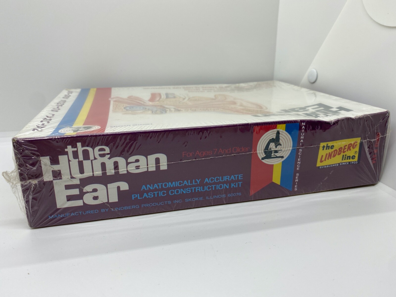 Lindberg THE HUMAN EAR Plastic Anatomy Model Kit Natural Science Line SEALED eBay