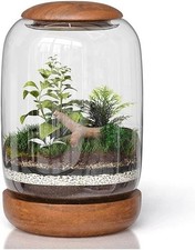 Exclusive Glass Terrarium with Natural Wood Lid and Base, Excellent for Plant...